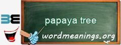 WordMeaning blackboard for papaya tree